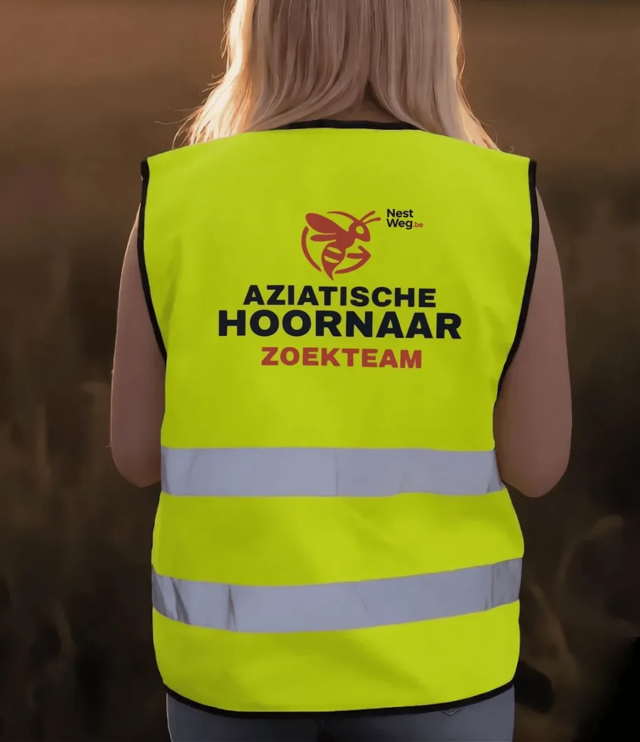 Veiligheidhesje