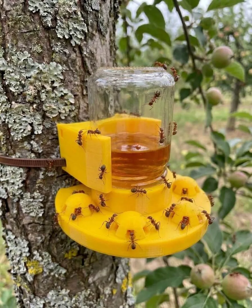 AntFeeder